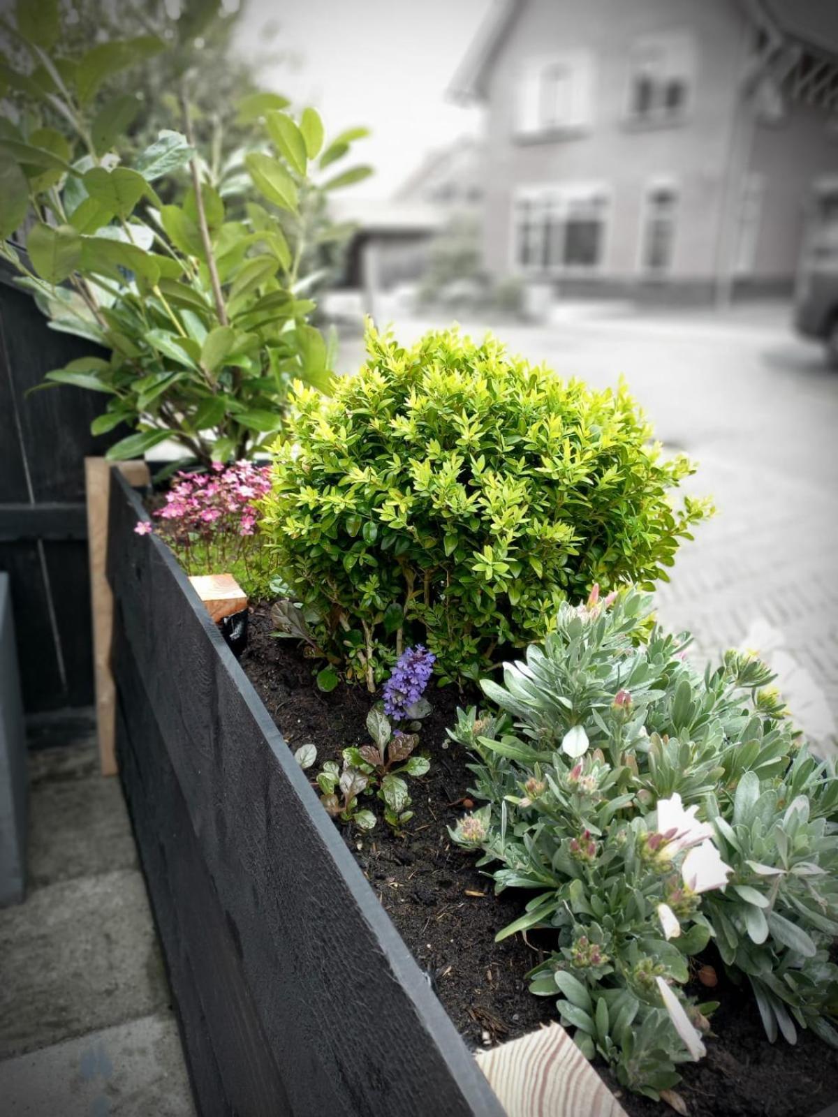 Bed&Breakfast De Schans Makkum Exterior foto